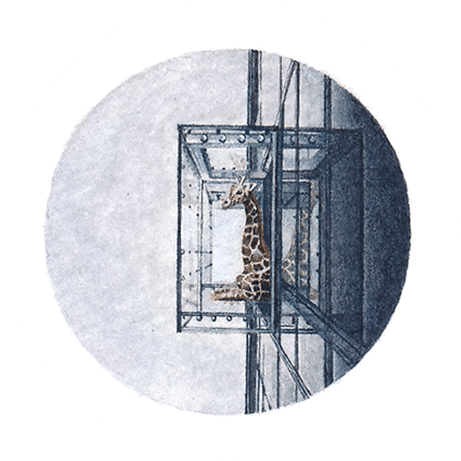 The Window