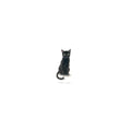 Le Chat Noir