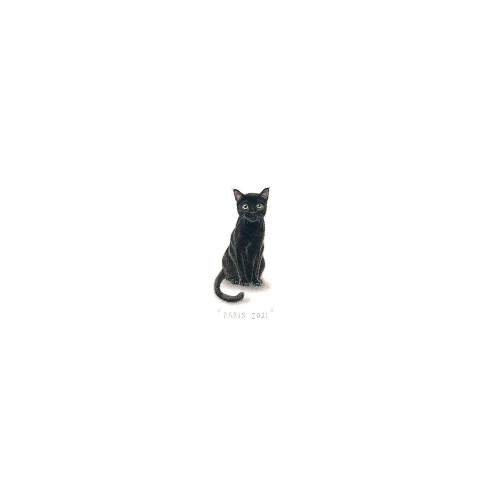 Le Chat Noir