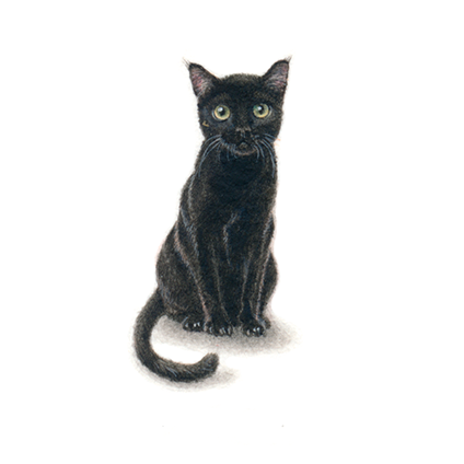 Le Chat Noir