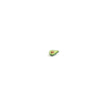 Avo