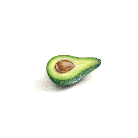 Avo