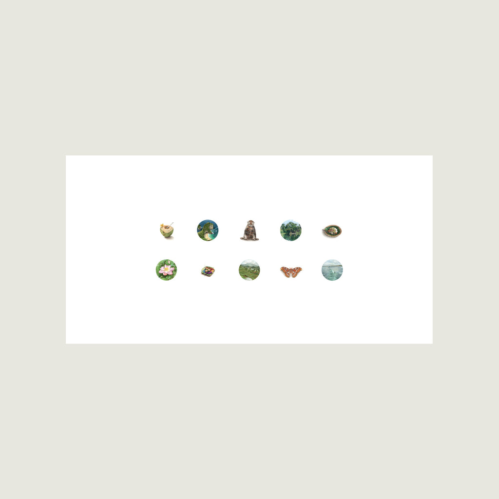 The Bali Collection