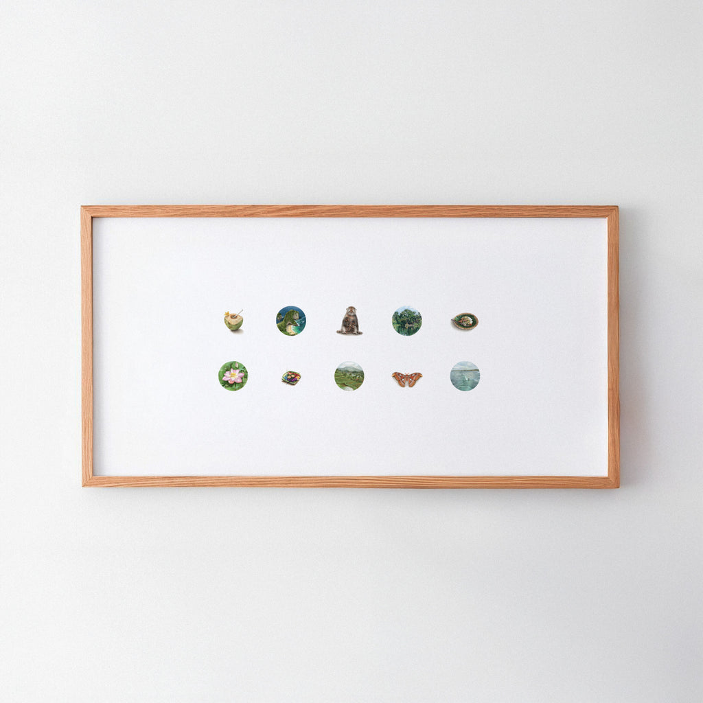 The Bali Collection