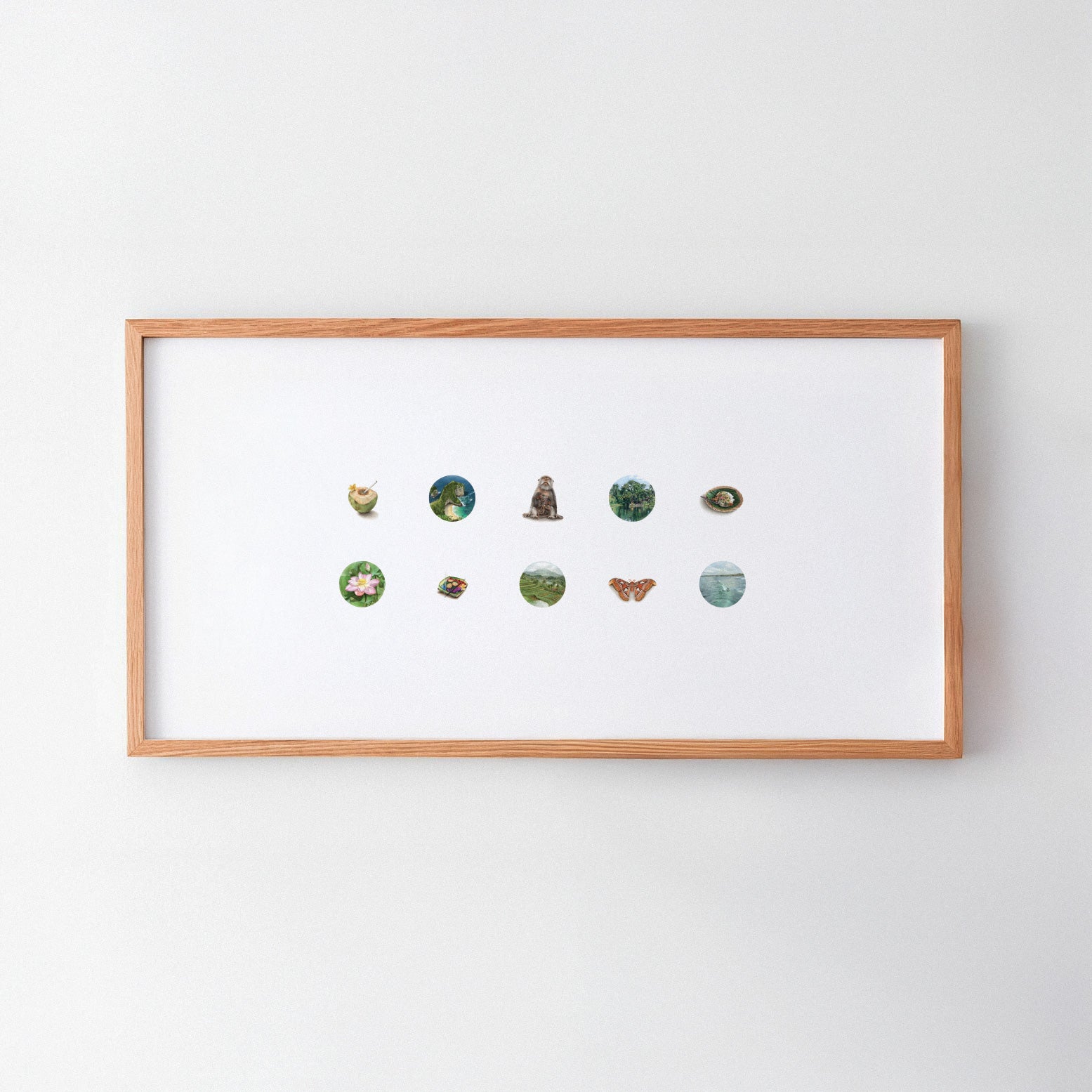 The Bali Collection