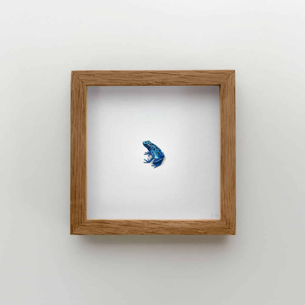 Blue Poison Arrow Frog