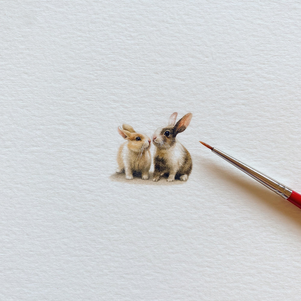 The Bunny Pair