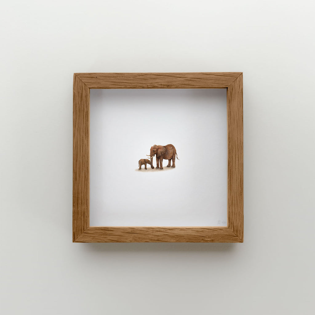 Elephants