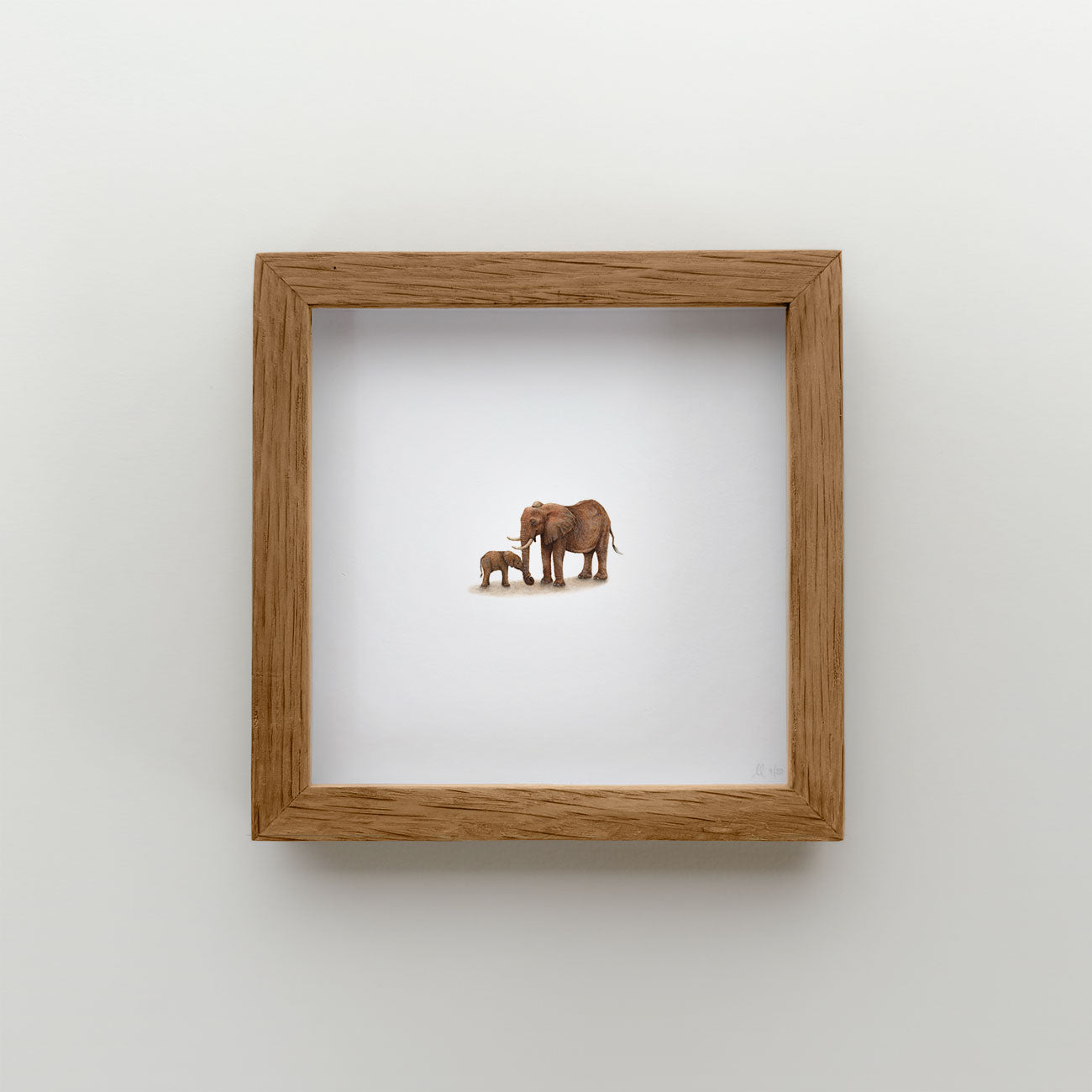 Elephants