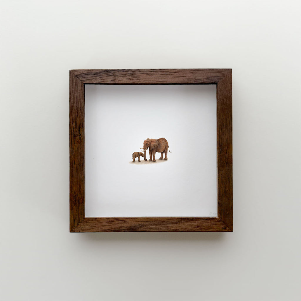 Elephants