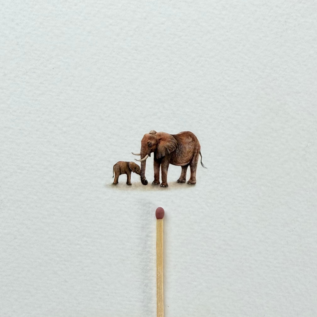 Elephants