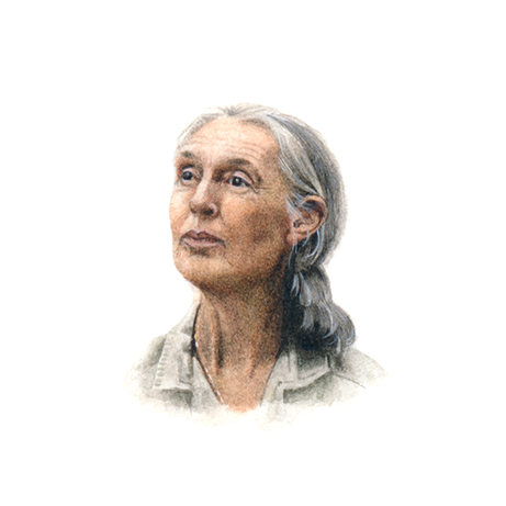 Jane Goodall