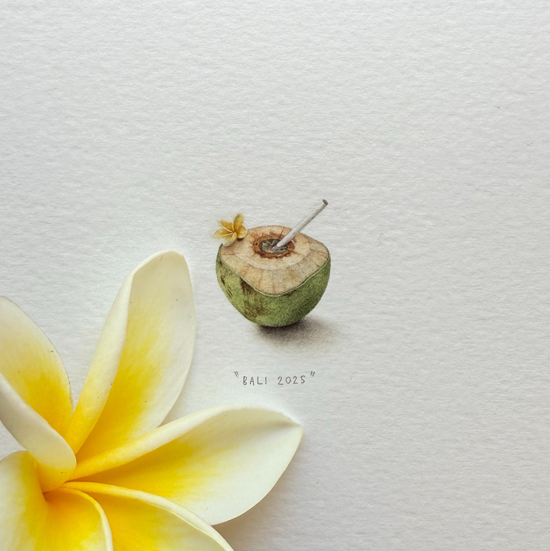 Kelapa Muda