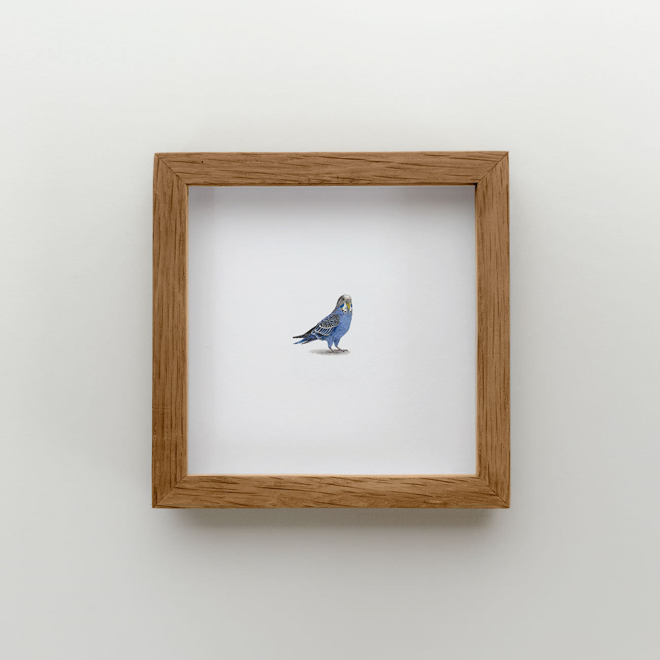 Budgie (Edition of 20)