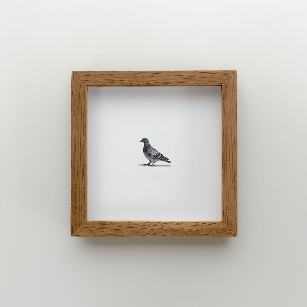 Pigeon (Edition of 20)