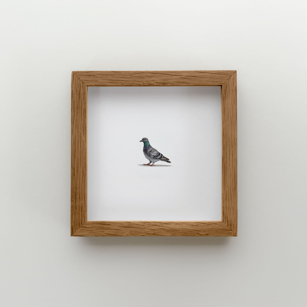 Pigeon (Edition of 20)