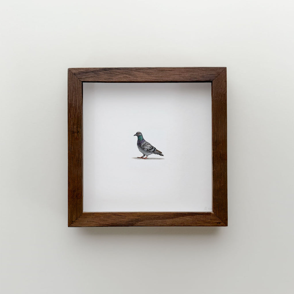 Pigeon Original