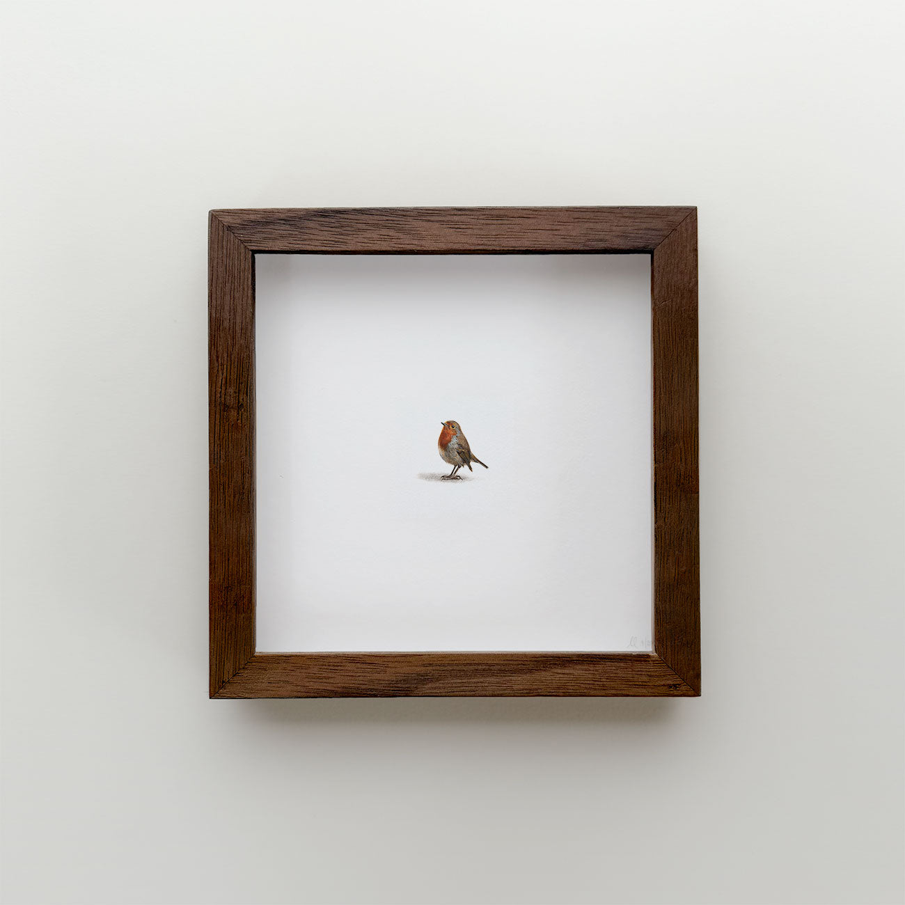 Robin Original
