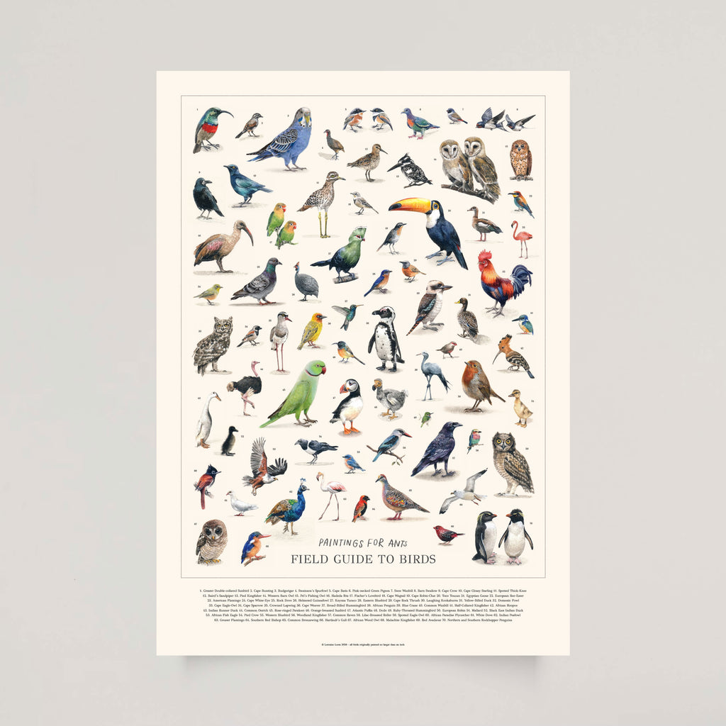 The Bird Poster