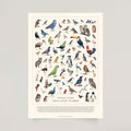 The Bird Poster