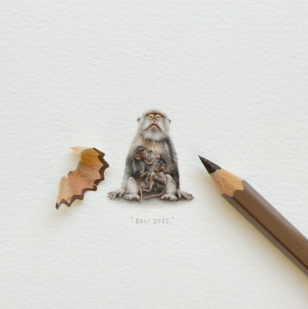 Long Tailed Macaques