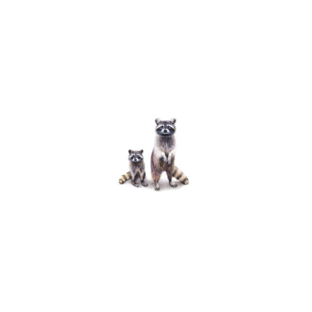 Mama + Baby Raccoon