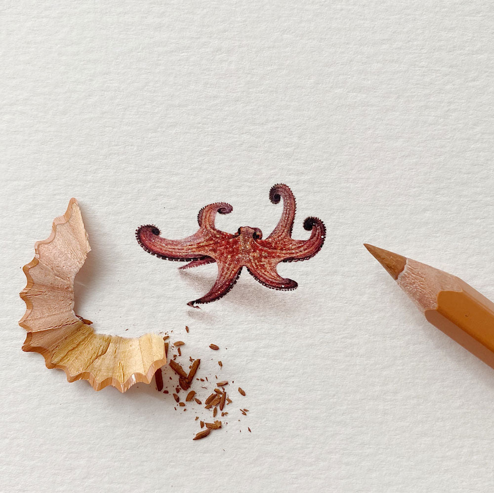 My Octopus Teacher