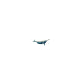Narwhal