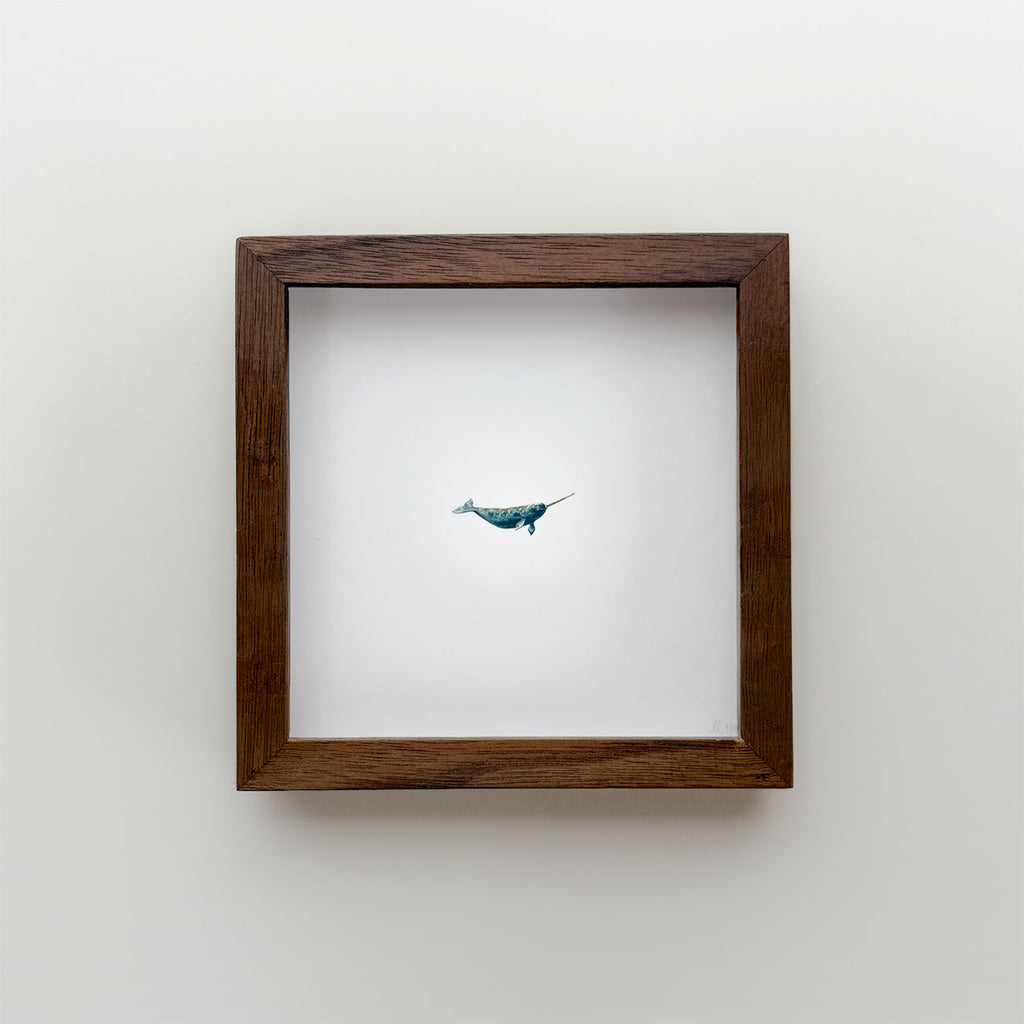 Narwhal