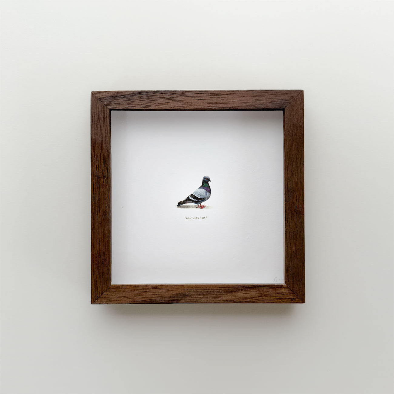 Pigeon