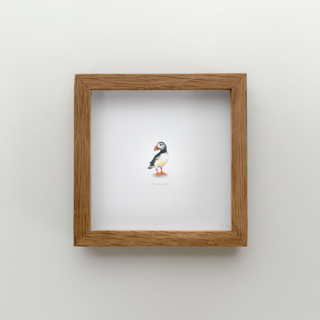 Puffin