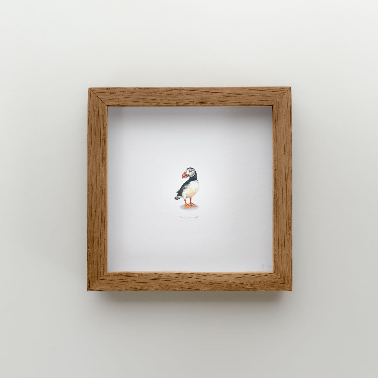 Puffin