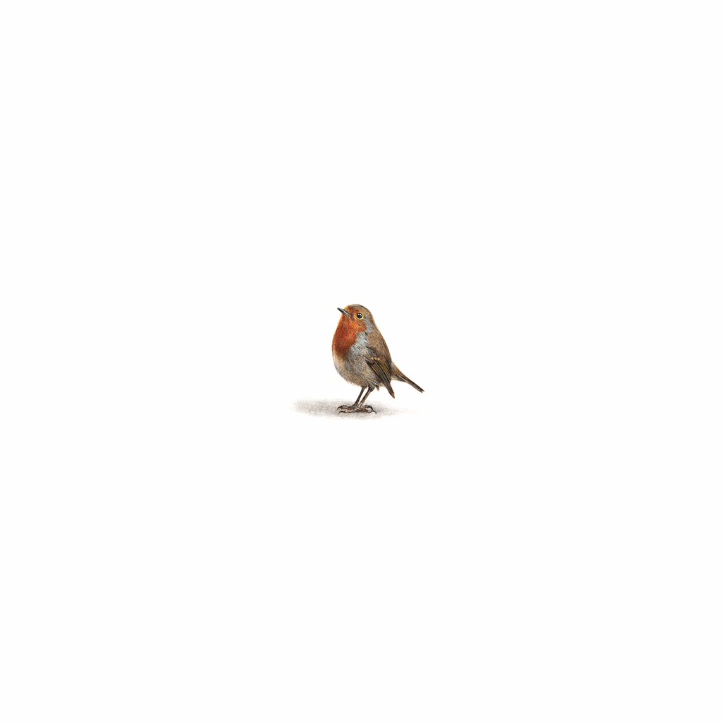 Robin Original