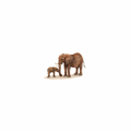 Elephants