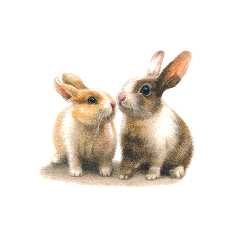 The Bunny Pair
