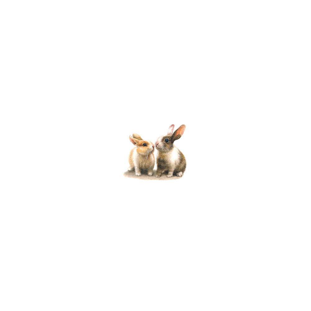 The Bunny Pair