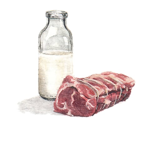Milk and Meat