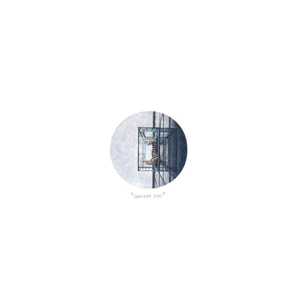 The Window