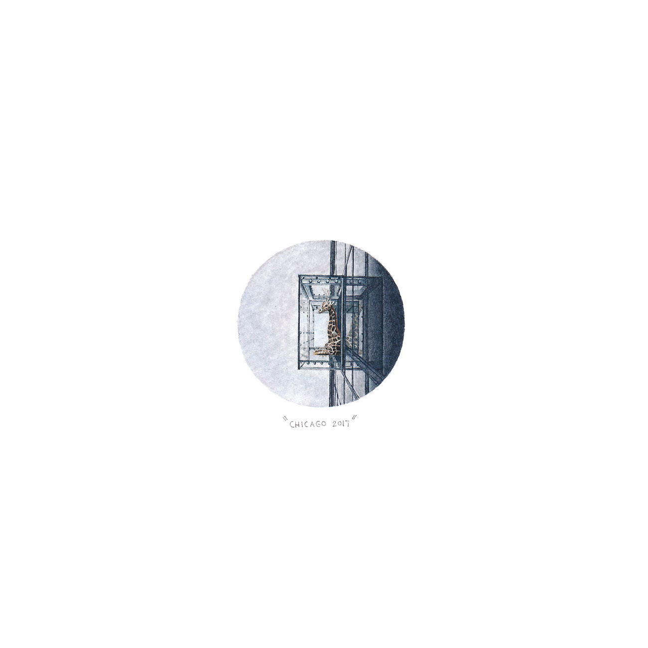 The Window