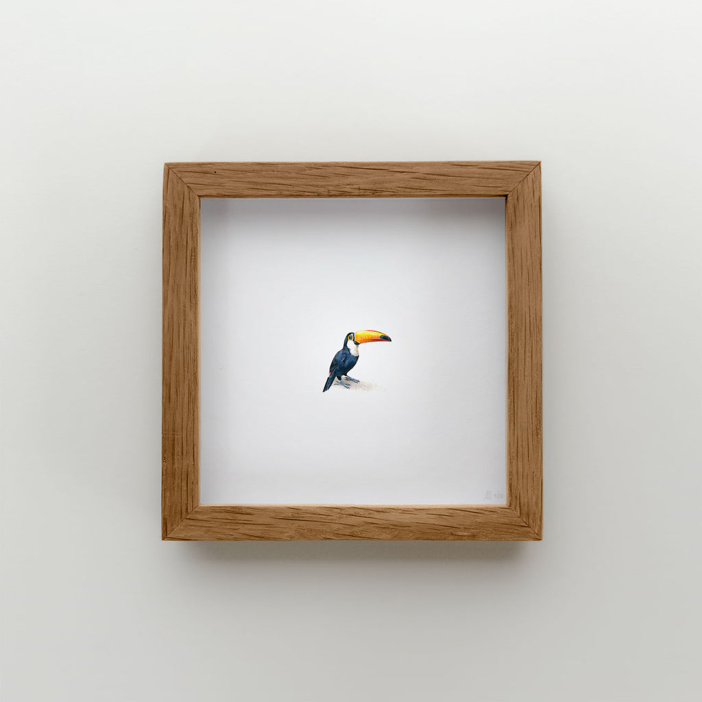 Toucan