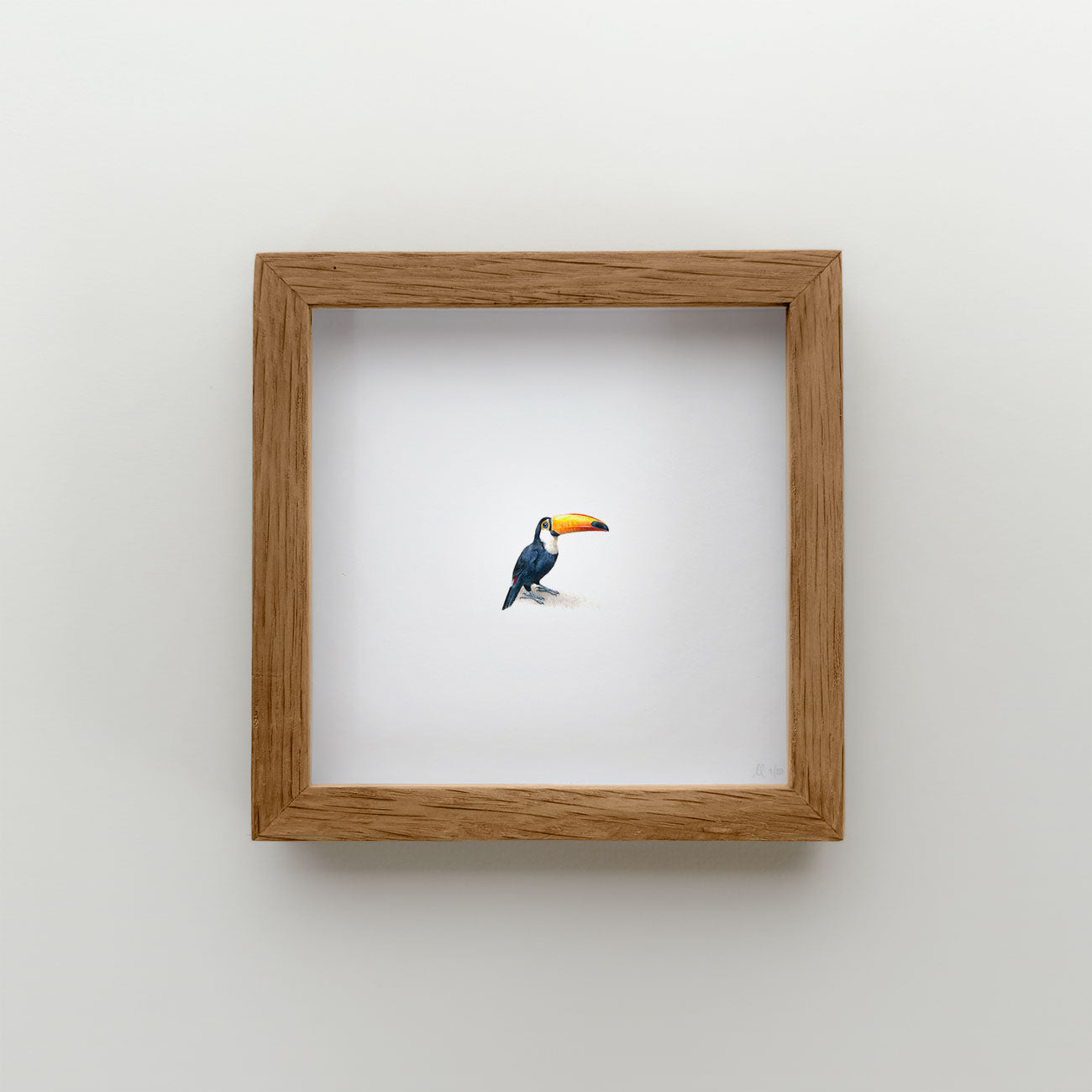 Toucan