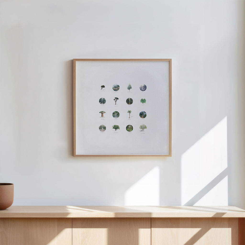 The Tree Collection