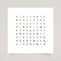 The Bird Collection