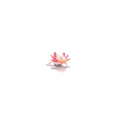 Xochimilco the Axolotl