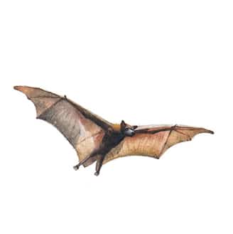 30 October 2015