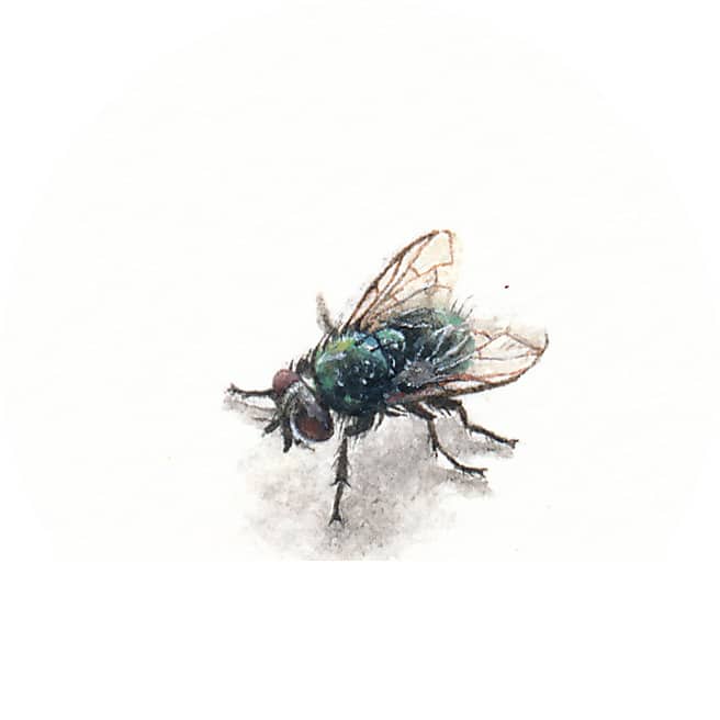 19 June 2015
