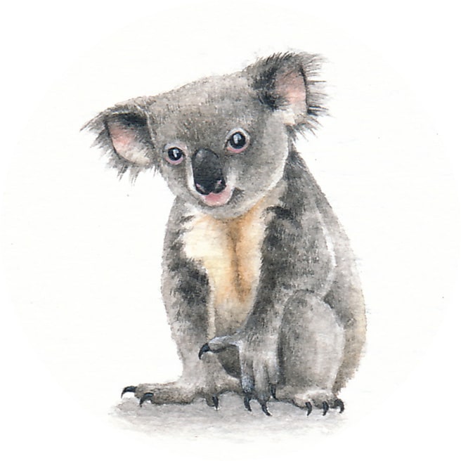 13 August 2015