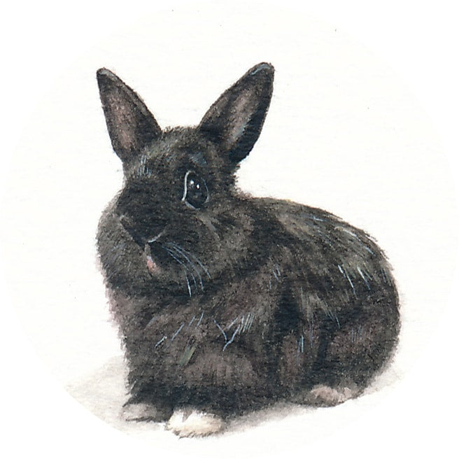 23 April 2015