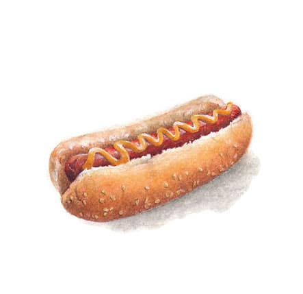 Hotdog