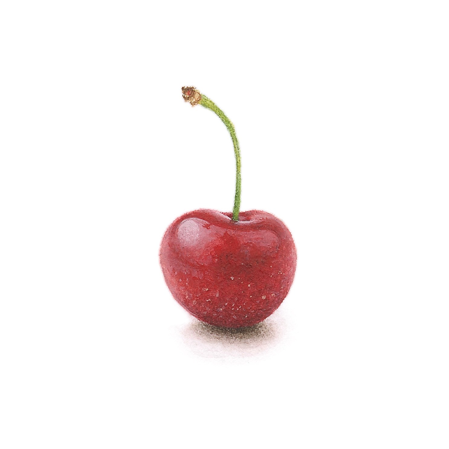 Cherry